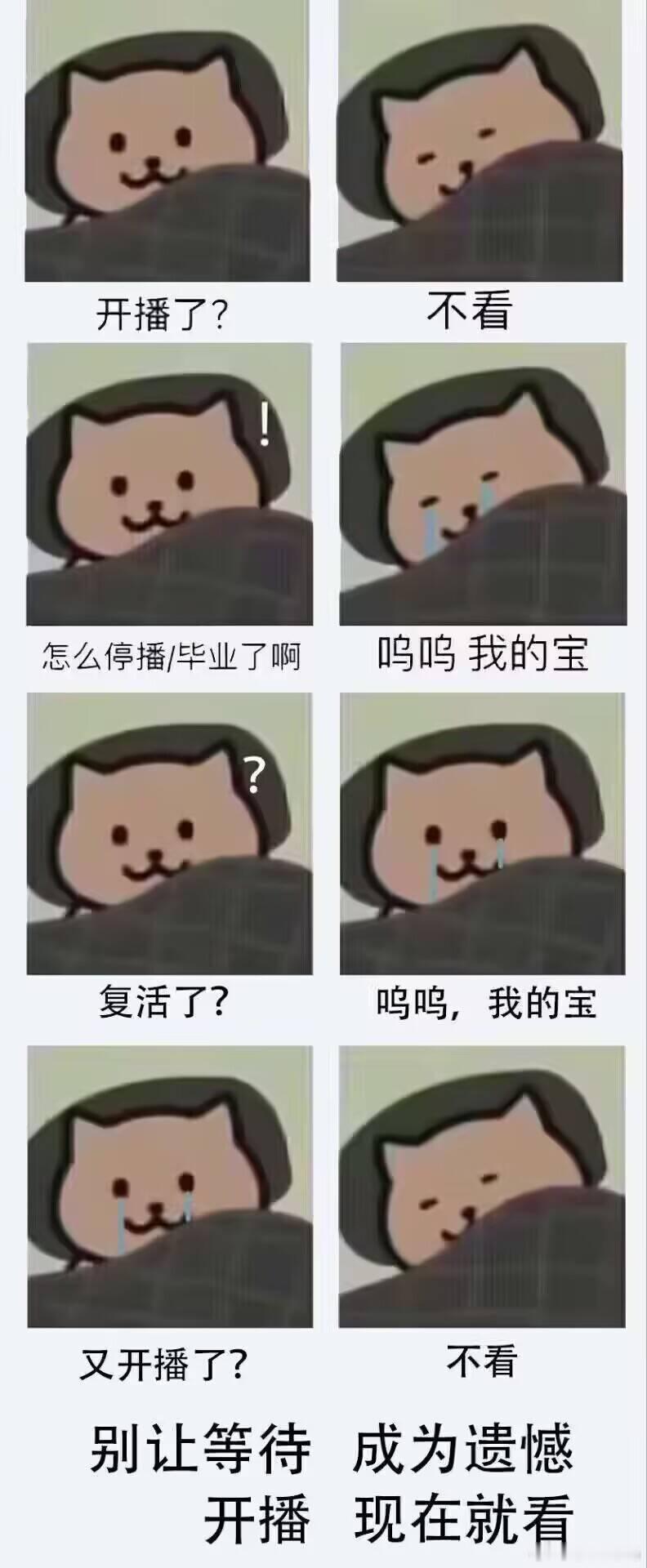 开播现在就看​​​