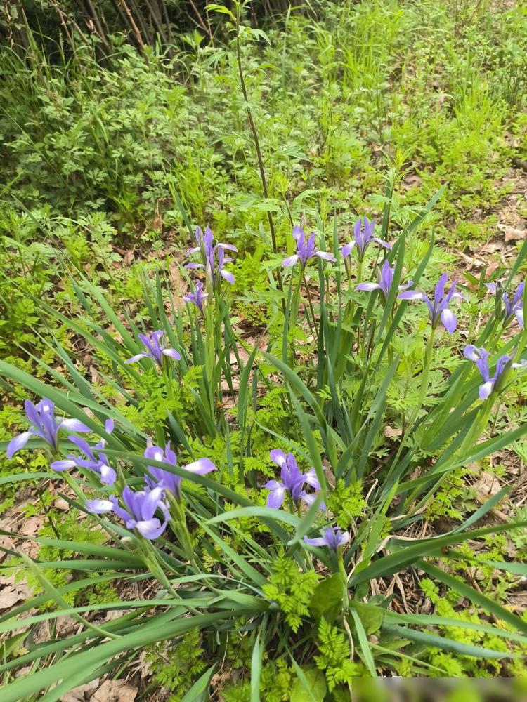 和我搭班多年的老教师今天给我说她很后悔，后悔自己当初的决定。真的特别能共情她