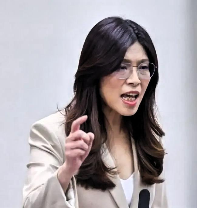 郑丽文会上交底！不谈统一的两岸表态，藏着怎样的盘算前言一场岛内工商界的会