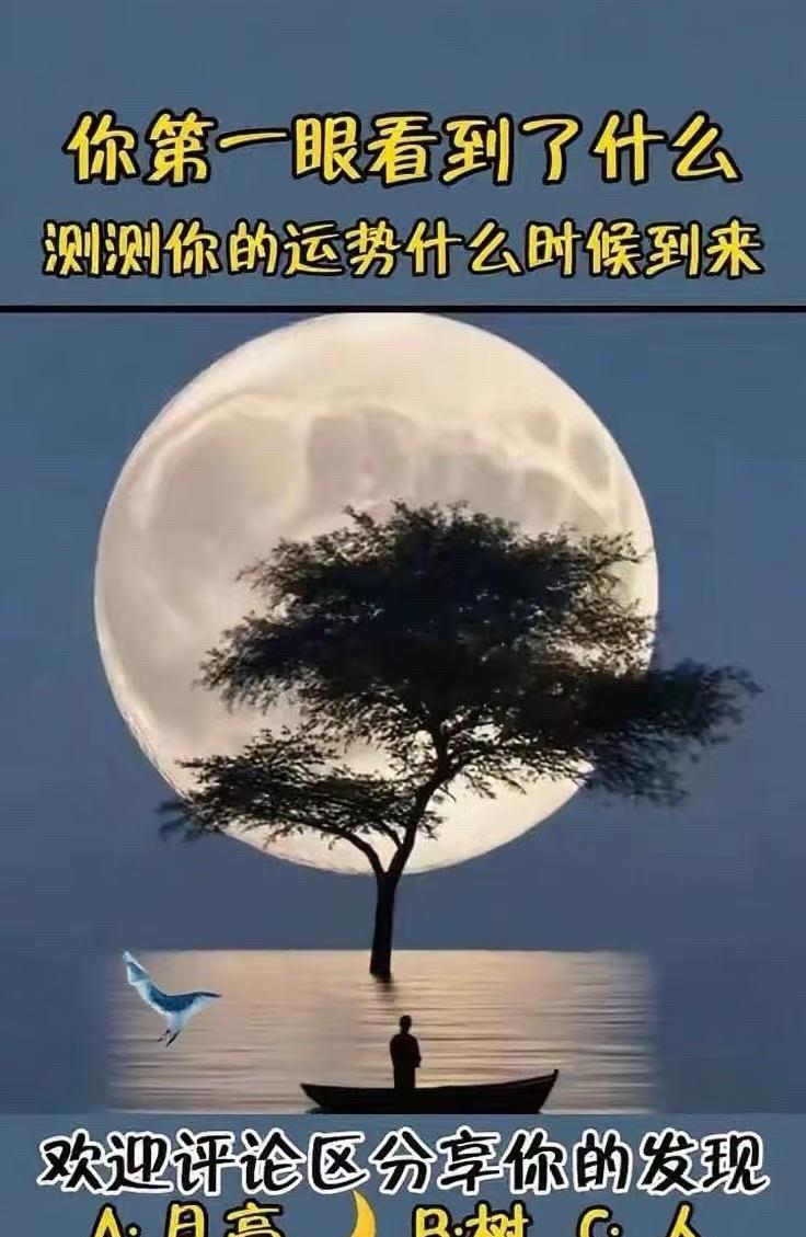 你第一眼看到了什么？测测你的运势什么时候到来。A：月亮；B：树；C：人。答案