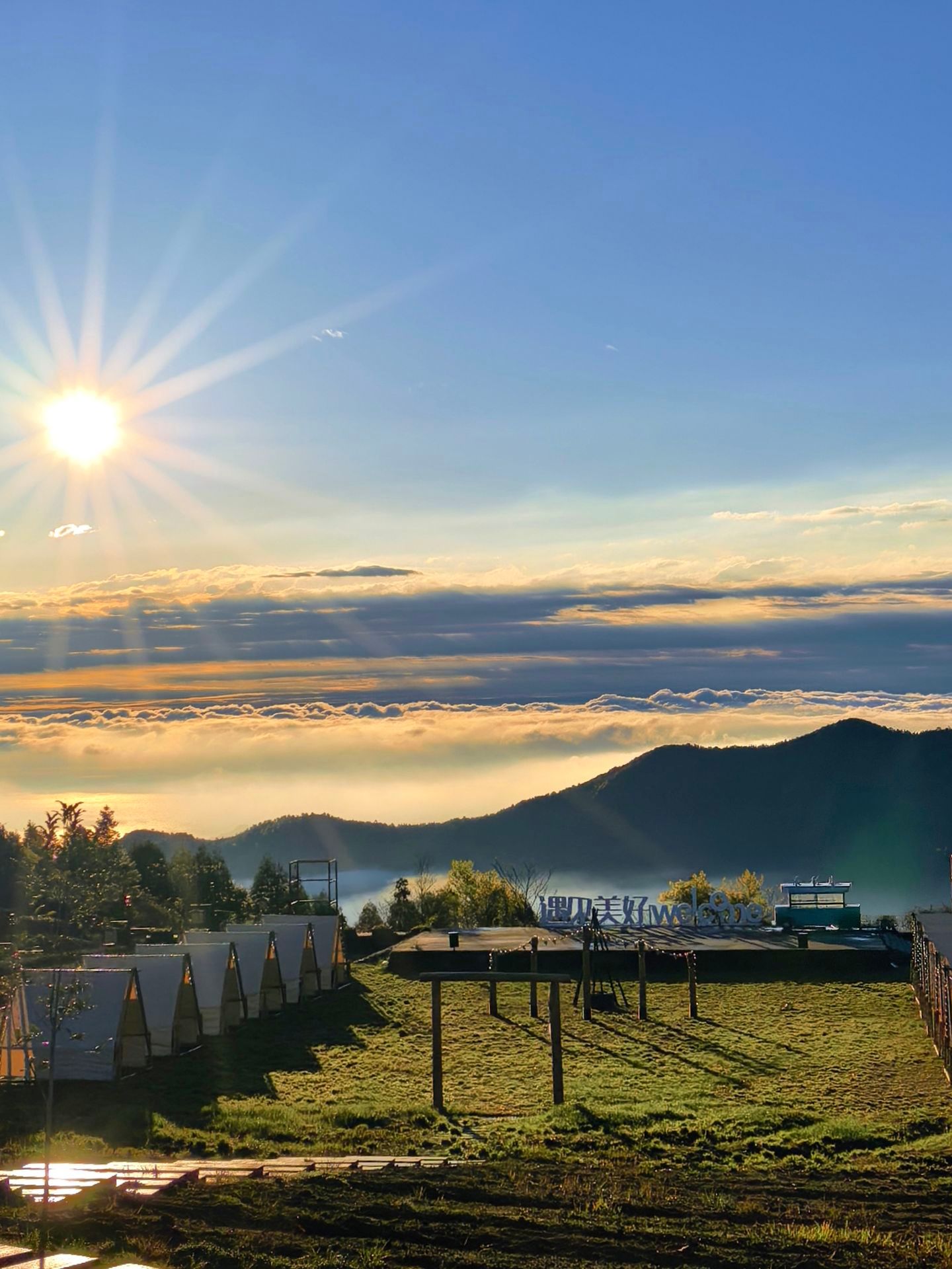 我的清明游记🌿清明踏春｜在浙里的山巅，撞见一整个春天清晨的山雾还没散，我跟着风