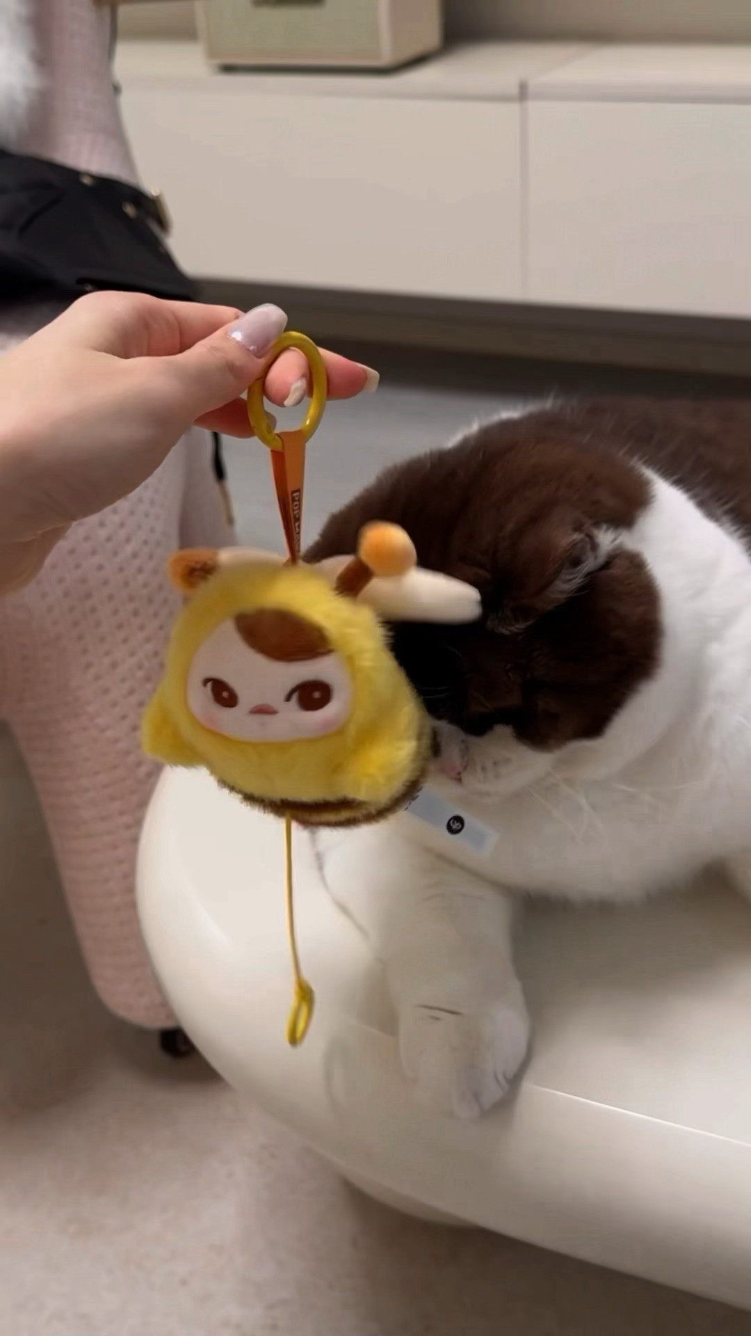 可爱！小蜜蜂！