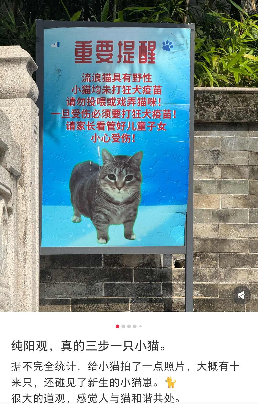 这个告示牌上面的图例小猫也太好笑了