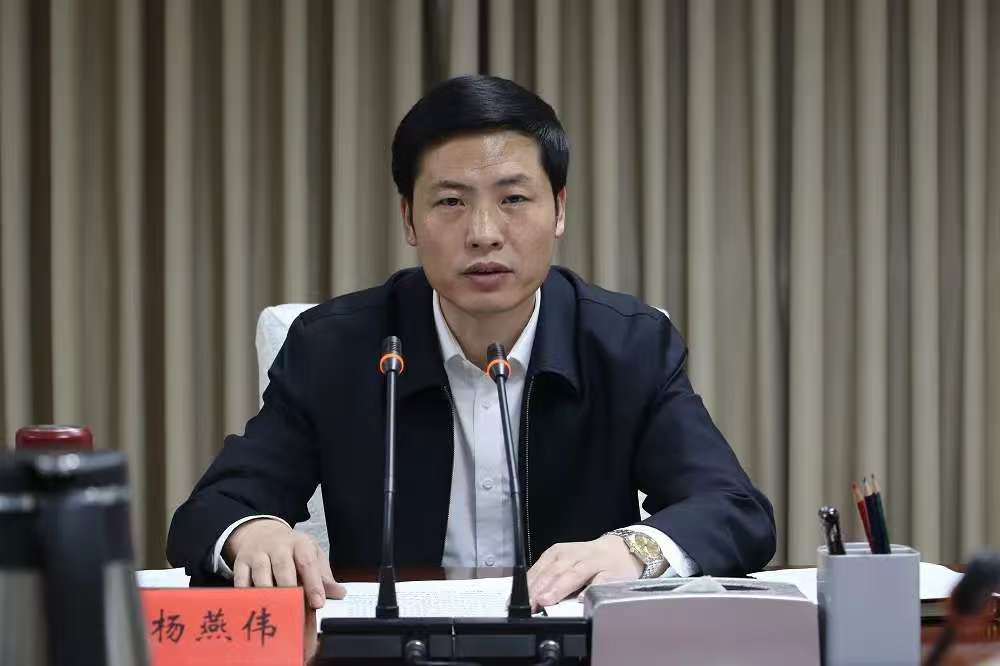厅长杨燕伟, 被免职、撤销资格