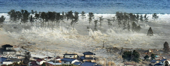 日本地震吓得不轻日本南部，地面这几天就没消停过，三天里晃