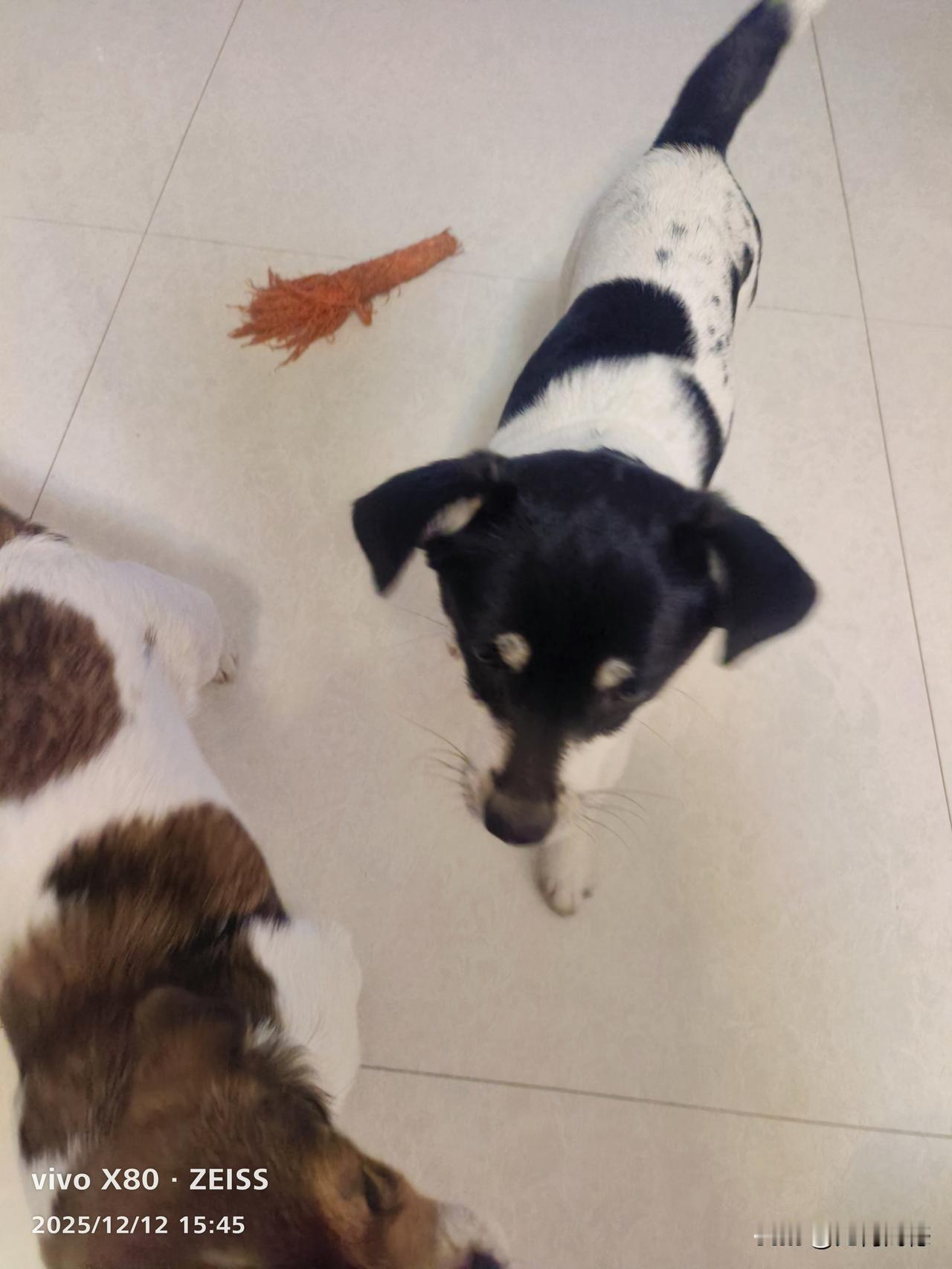 2026年马上就要来了，你不用刻意的规划自己，也不用刻意的委屈自己，你就按照你以