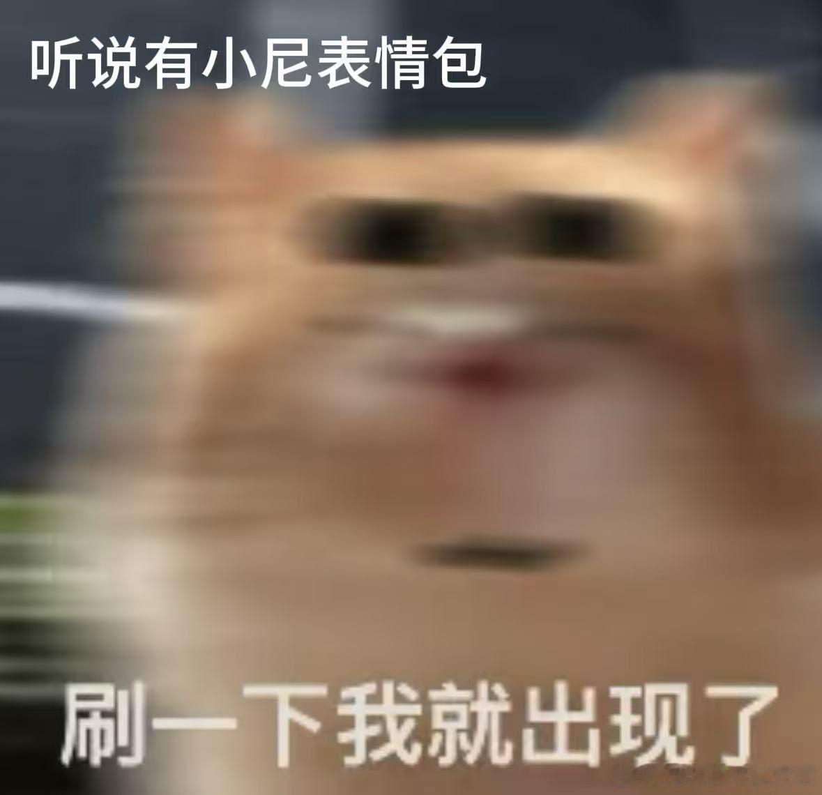 尼格买提Mate80探班春晚后台哈哈哈哈小尼春晚后台探班，vlog还没捂热表情