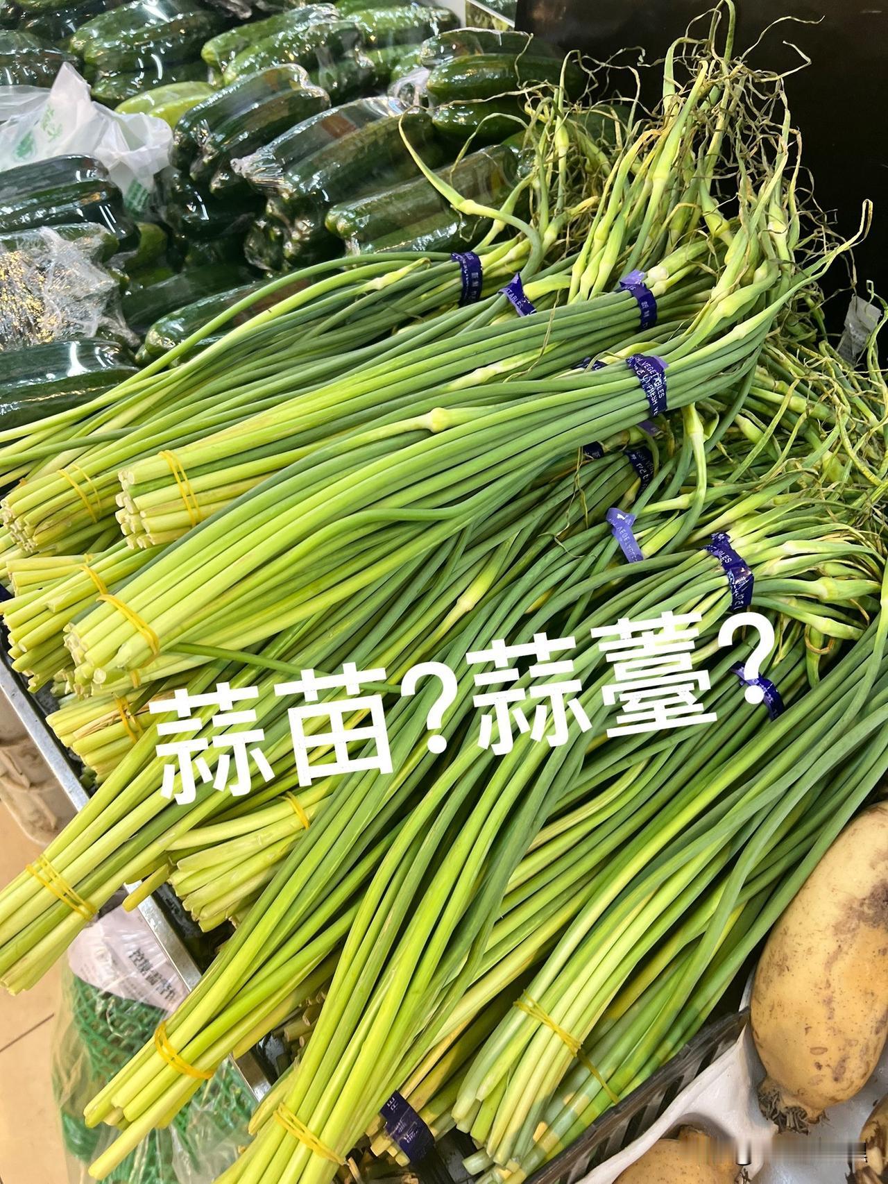 一直搞不明白，北京人为什么把这个东西叫蒜苗？山东河南一带，到底是拥有丰厚文化
