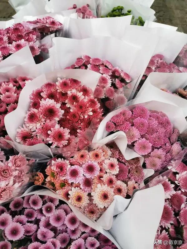 最近就爱往户外跑，晒晒太阳补补钙，看看盛开的鲜花，感受万物复苏的美好。不用刻意做