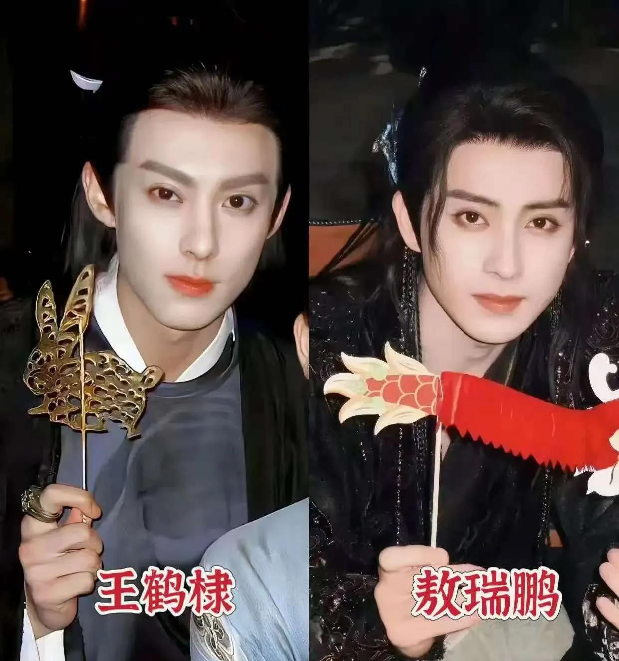 王鹤棣，接下来可能要被敖瑞鹏取代了，敖瑞鹏戏路比棣棣宽些。棣棣长的太凌厉，精明了