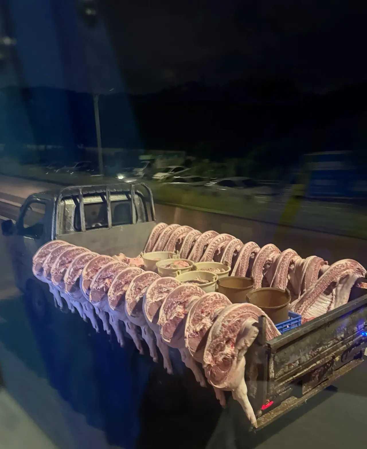 会不会有一天，人也变成这样？