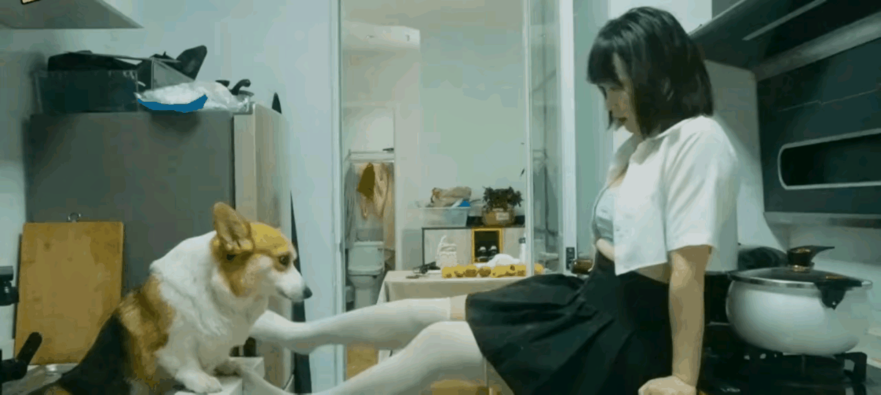 美女这一番神操作,终究是狗子承担了所有搞笑这操作真上头