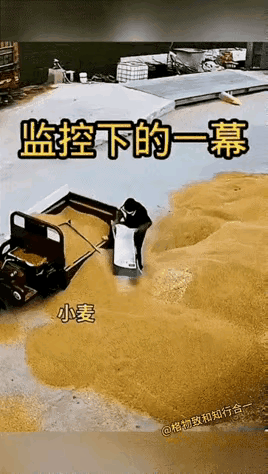 防人之心不可无呀。大妈拖了一三轮车小麦去卖，过完秤后下货时，从车斗内拖出一大袋