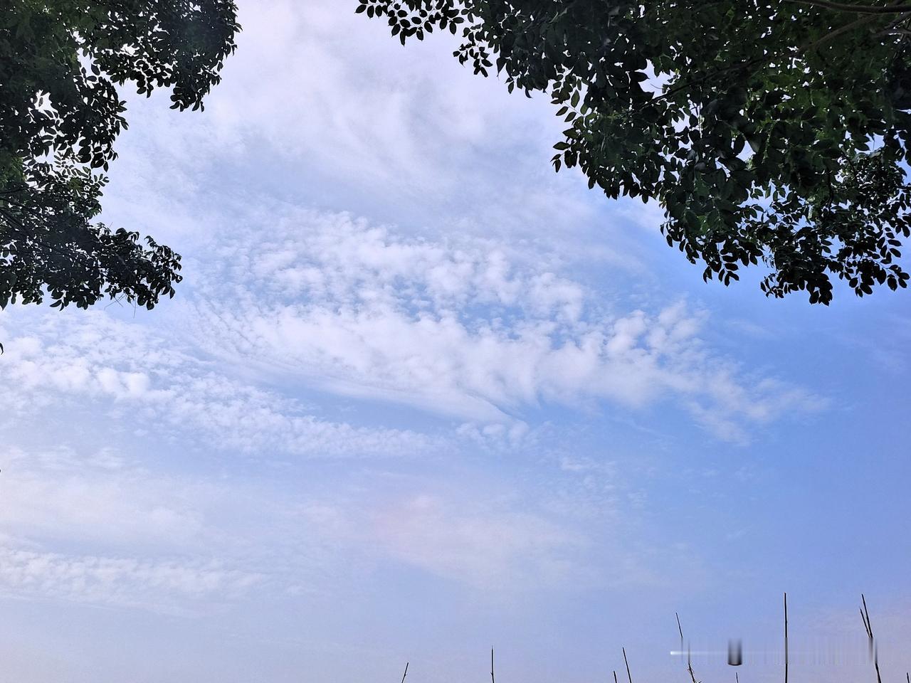 支不支持取消物业，这是一个社会敏感话题，支持或不支持都得有人骂你。特别是你要是说