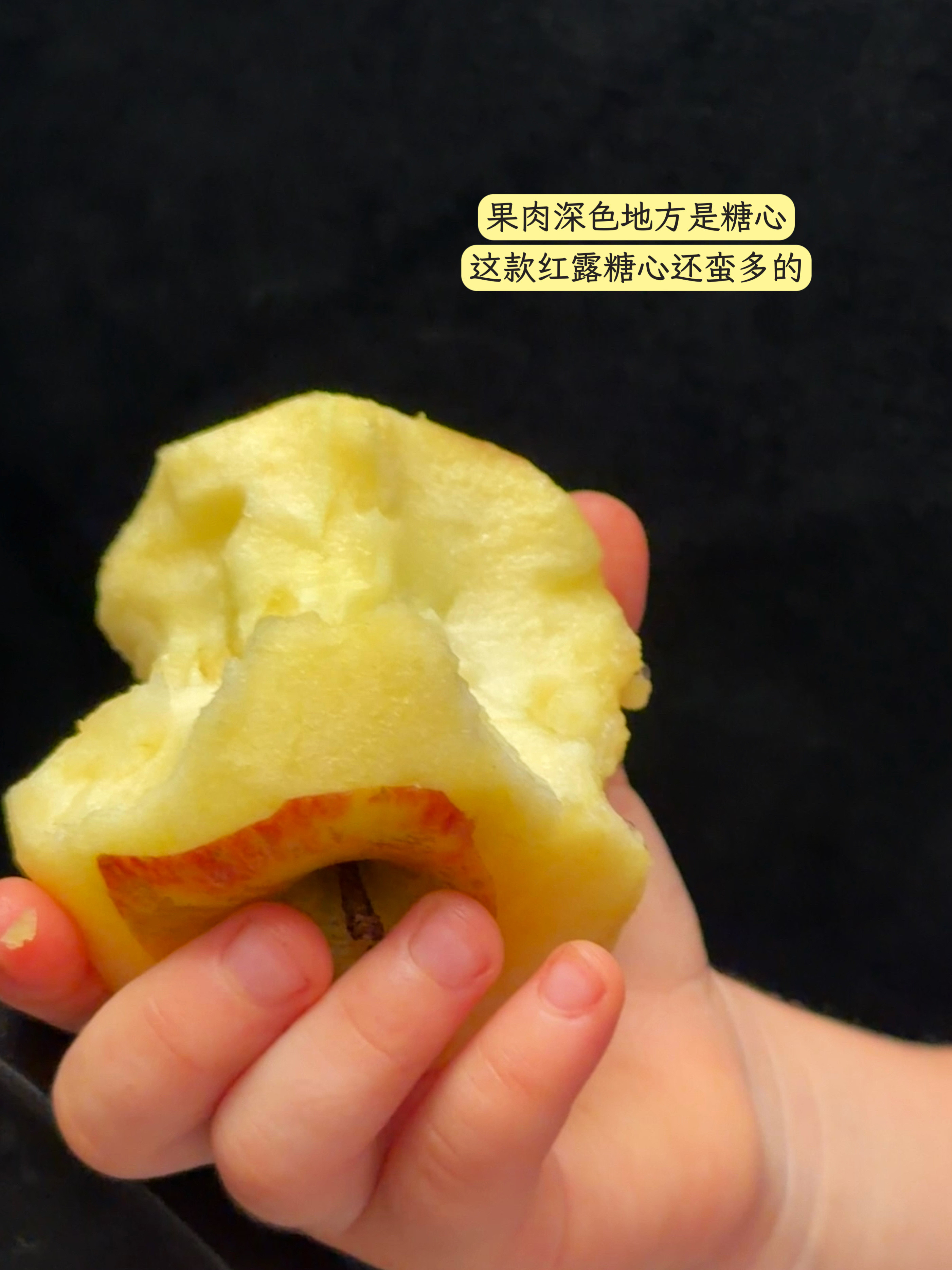 团里口感非常不错的两种苹果：🍎来自云南的红露苹果。在高原强日照条件下种植，它的
