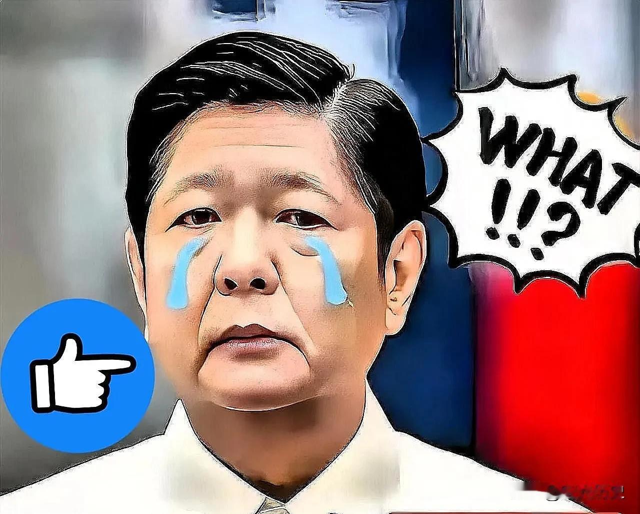 就在刚刚菲律宾正式宣布11月11日，菲律宾国家减灾管理委员会最新通报，台风“