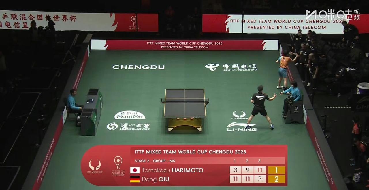 张本智和🇯🇵输给邱党🇩🇪了，2025成都国际乒联混团世界杯第二阶段循环