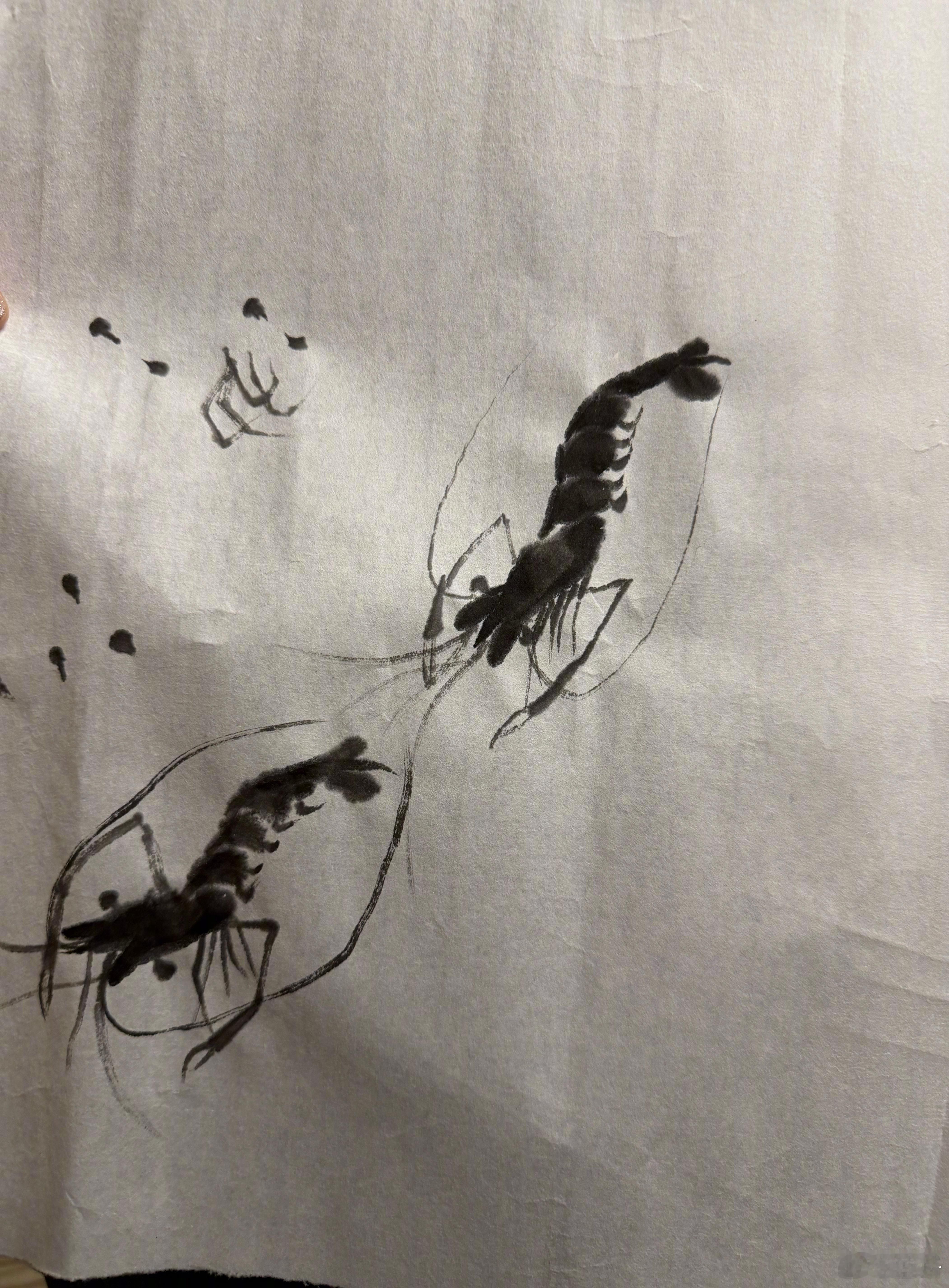 小女儿第一次画🦐