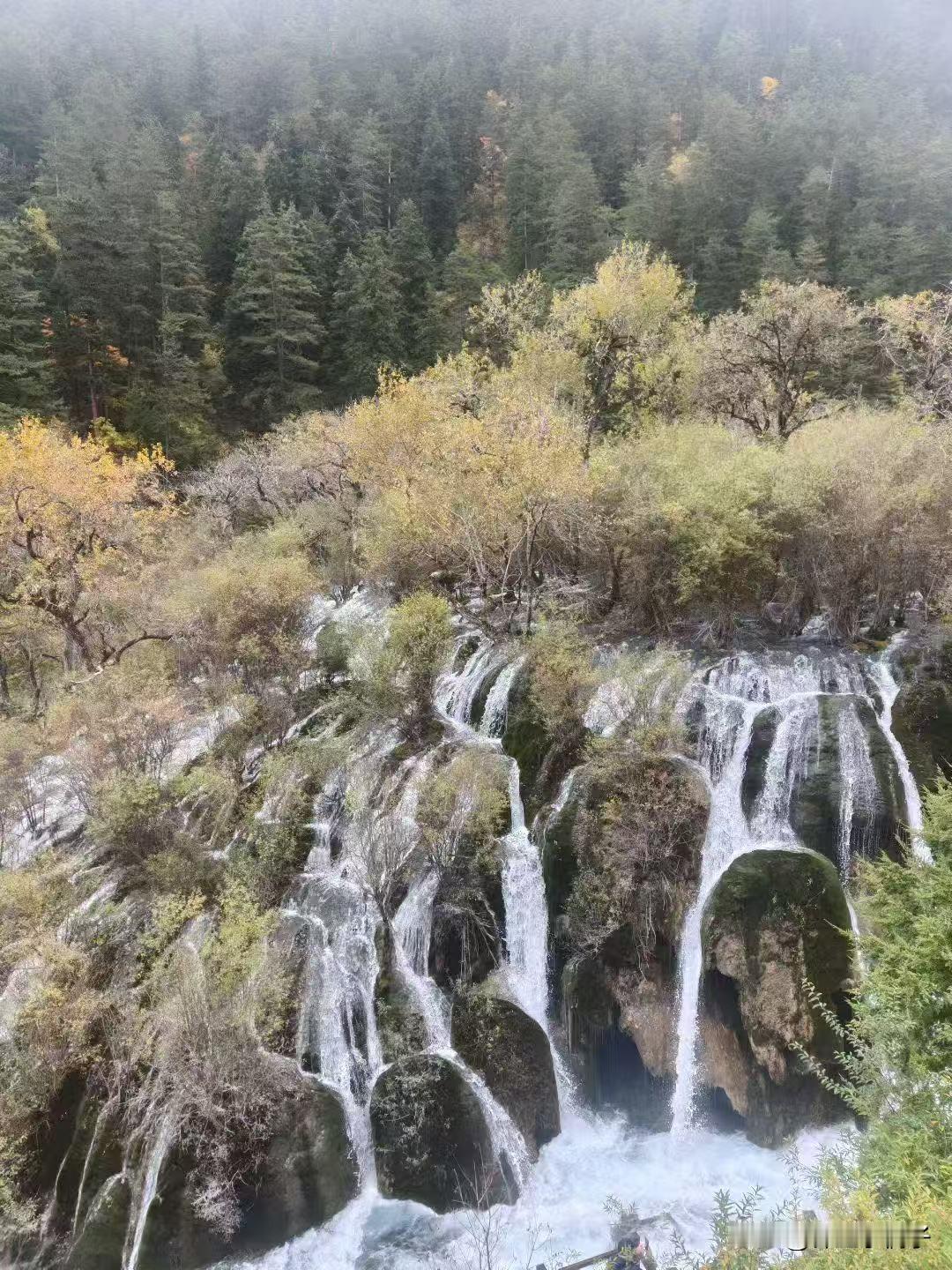 九寨沟这瀑布直接美到我了！今天误打误撞闯进这片瀑布，直接被美懵了！你看