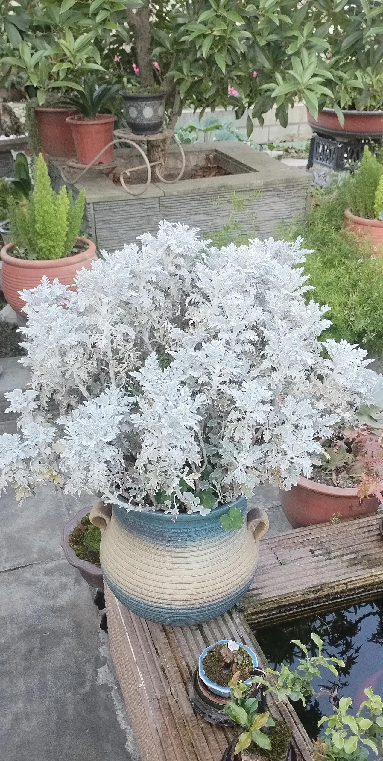 我母亲去逝二十多年，我就梦了母亲二十多年。都说，梦见己故的人，身体虚弱不咋健康，