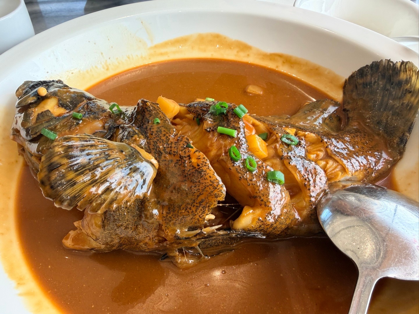 宁波的兄弟们，你们收入多少我发现了只要跟海鲜有关吃顿饭就老鼻子贵了看看今天吃