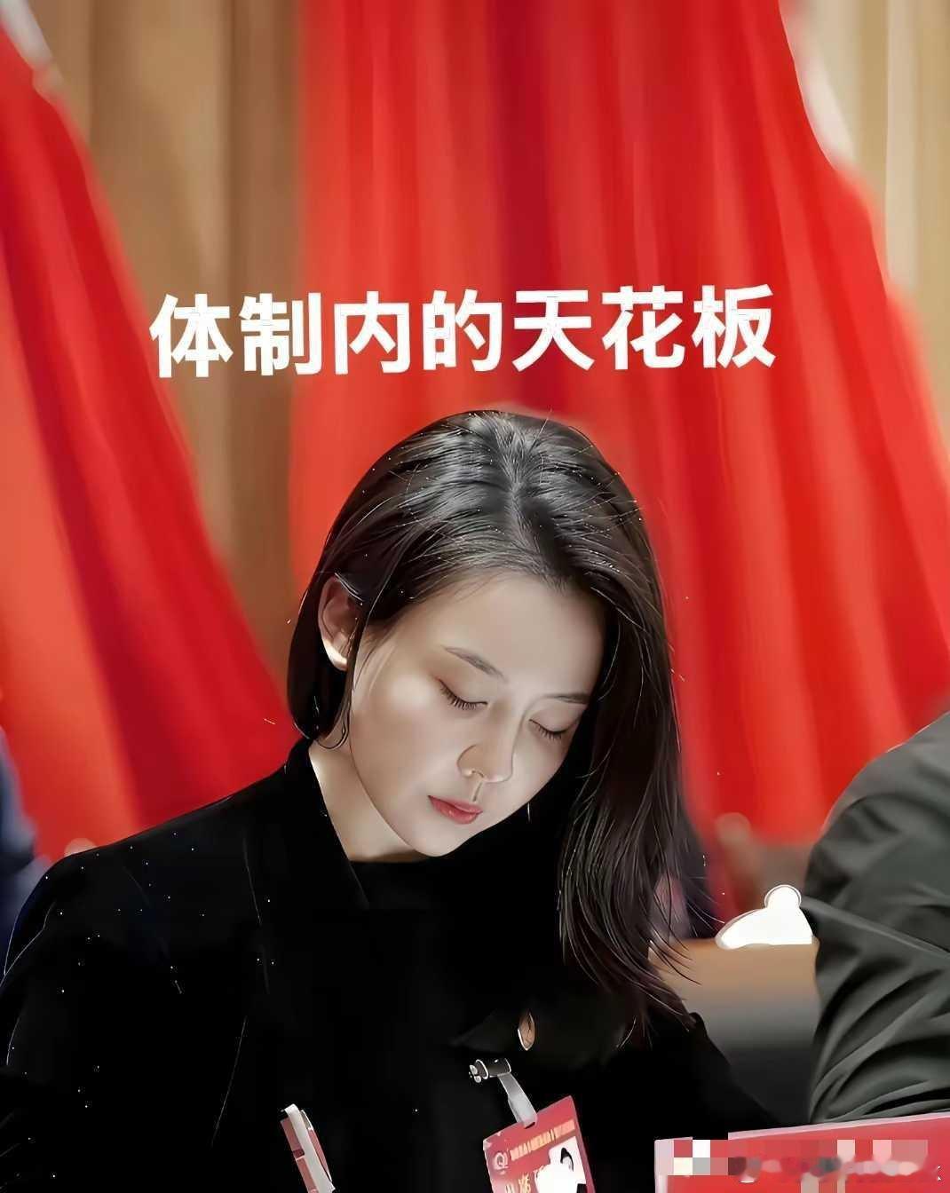 体制内的天花板