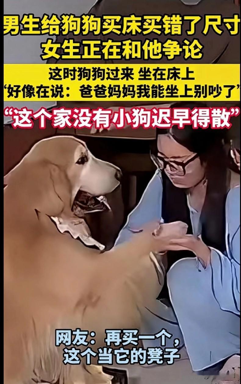 “笑不活了！河南一男生给狗狗买床买错尺寸，正和女生争论呢，结果狗狗慢悠悠过来往小