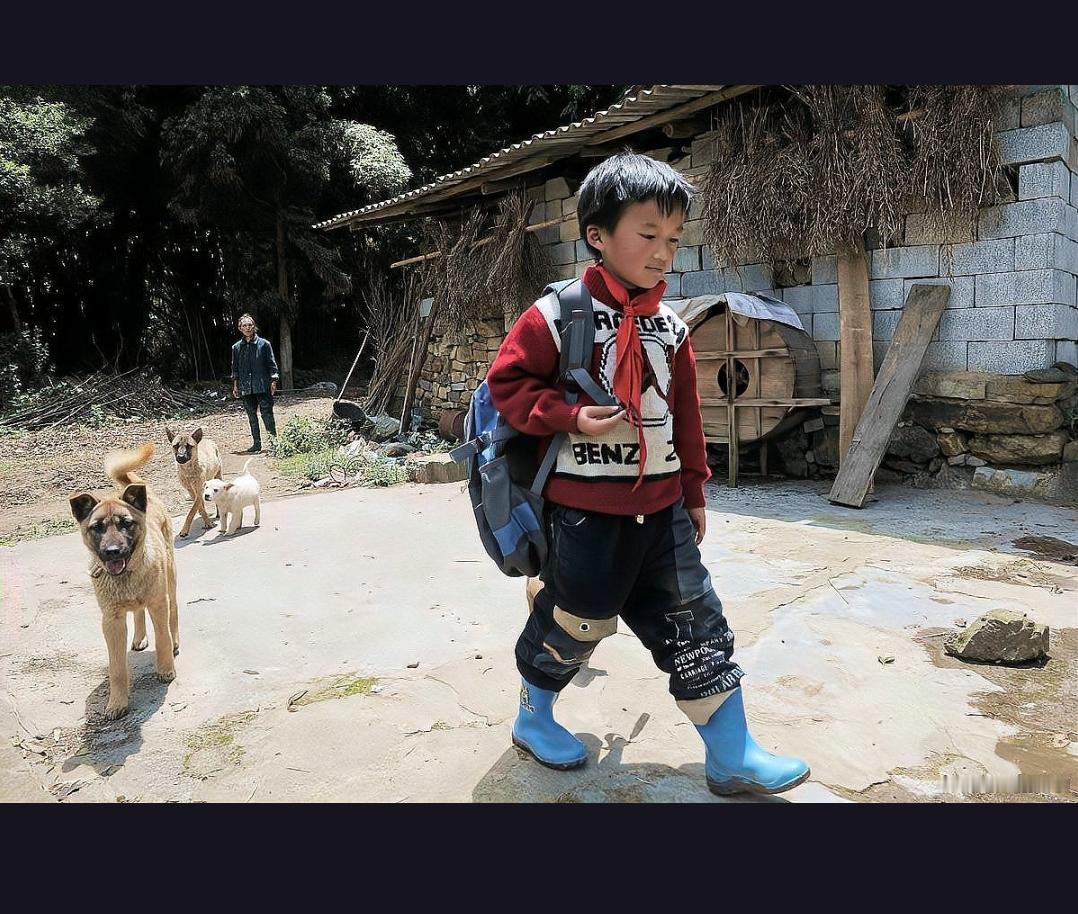 8岁女孩缘何选择徒步117公里返回家乡？她的妈妈又会怎样回应这一抉择？近日，一