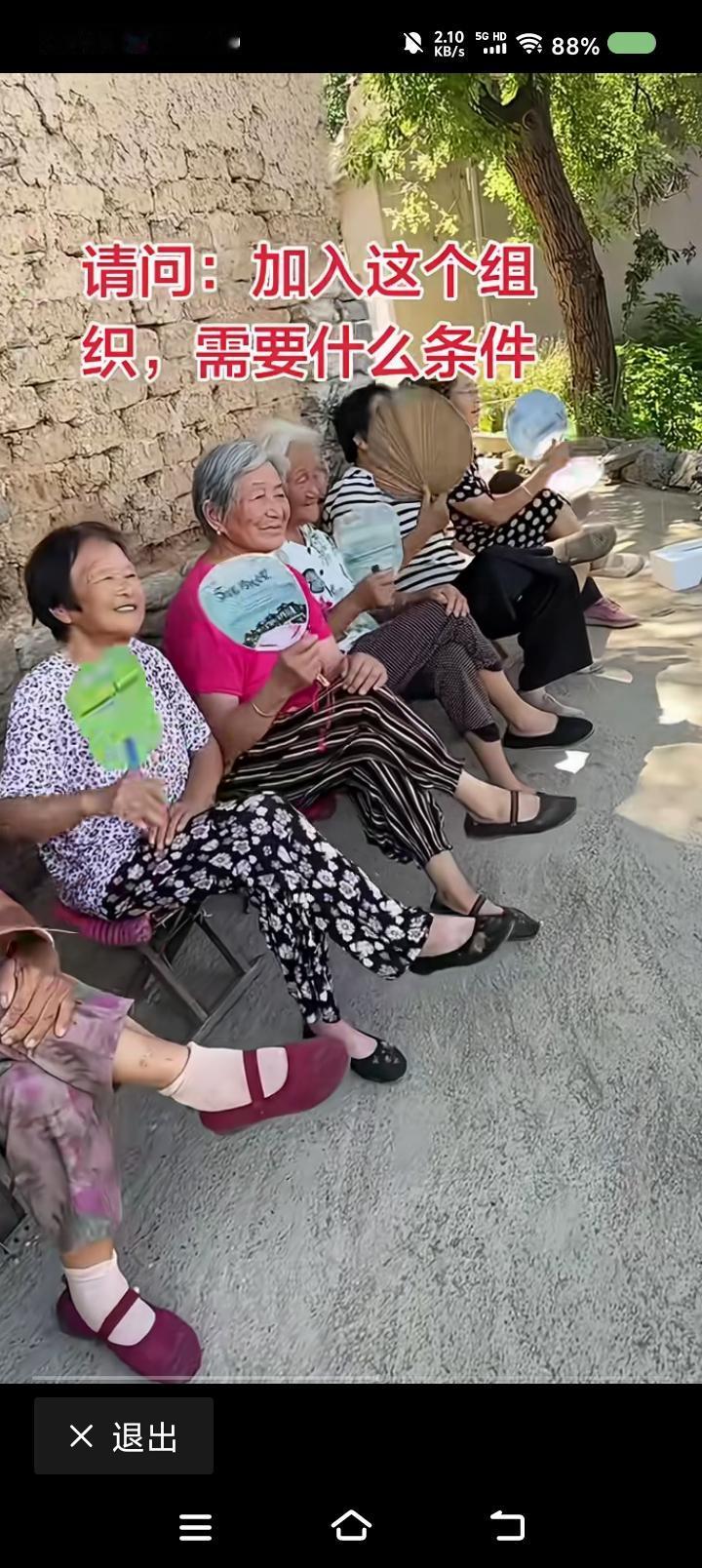 加入这个组织的条件——网上视频：加入这个组织的条件是什么？一群大妈坐在墙根，摇