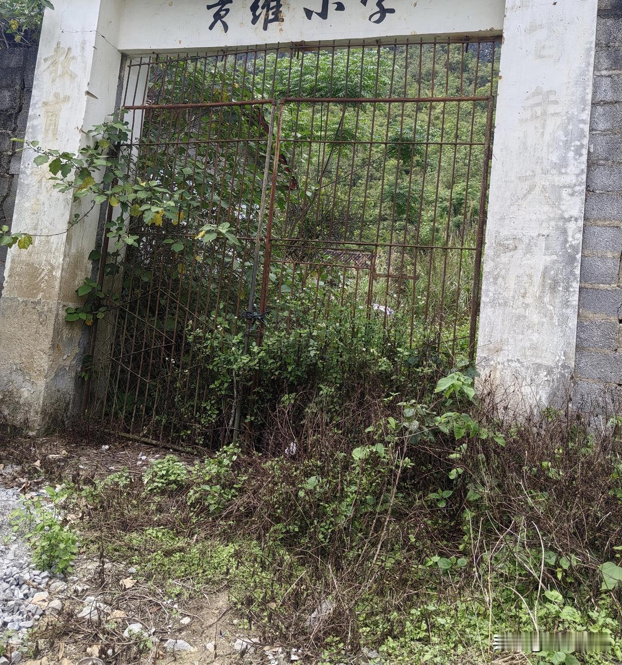 这次回老家，我特意去看了我的母校——一所村小学。它建于上世纪60年代，鼎盛时期约