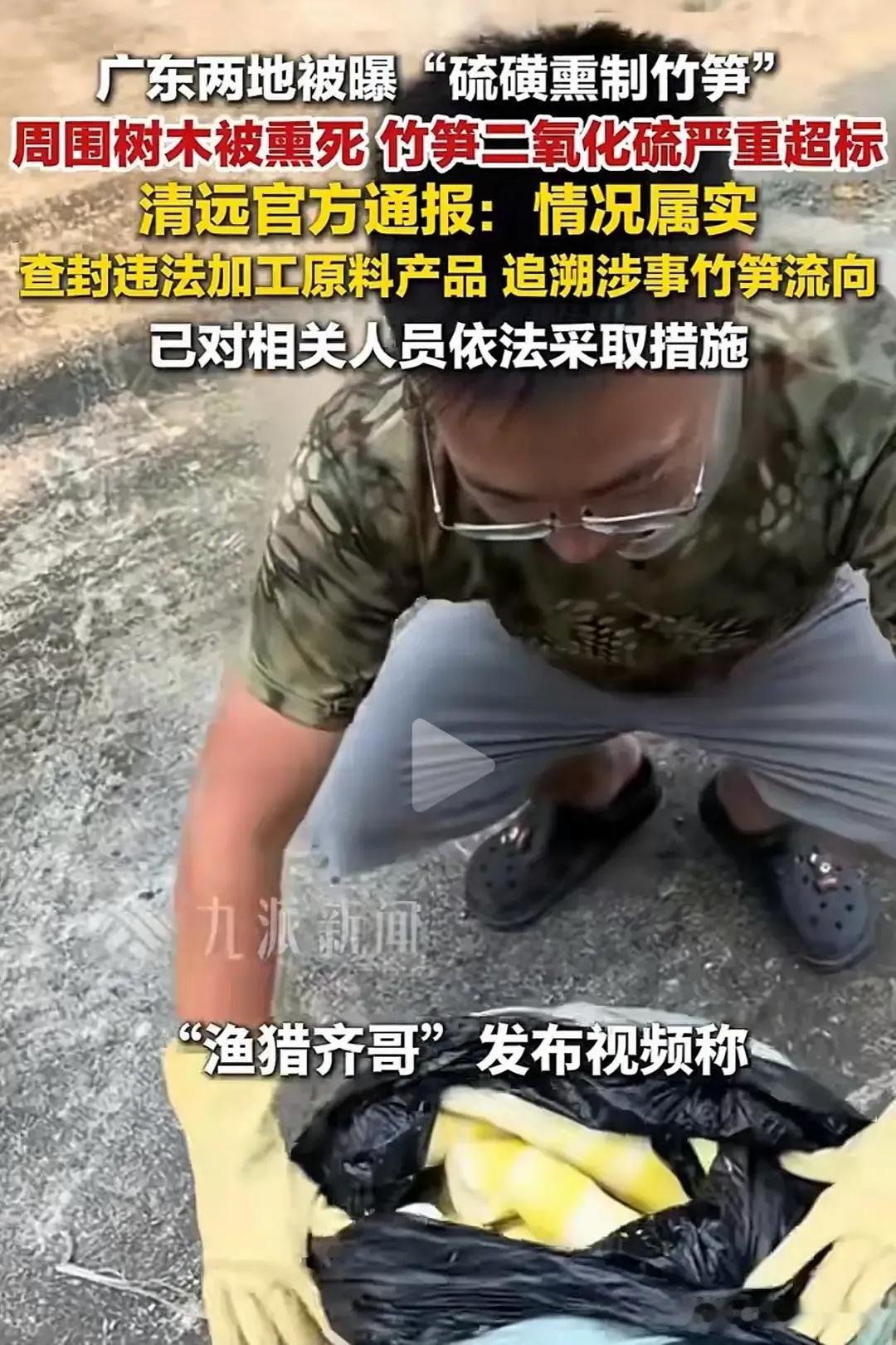竹笋炒腊肉，竹笋炖排骨，笋子炒辣子…可是，广东清元市政府称琉璜熏竹笋情况属实，己