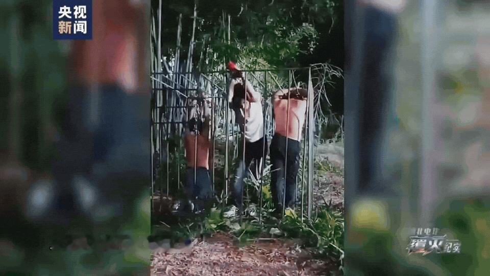  《7万欠条抵一个肾》央视纪录片曝光！缅北那句“你的肾配型成功了”，听得人后背发凉……最近看了央视和