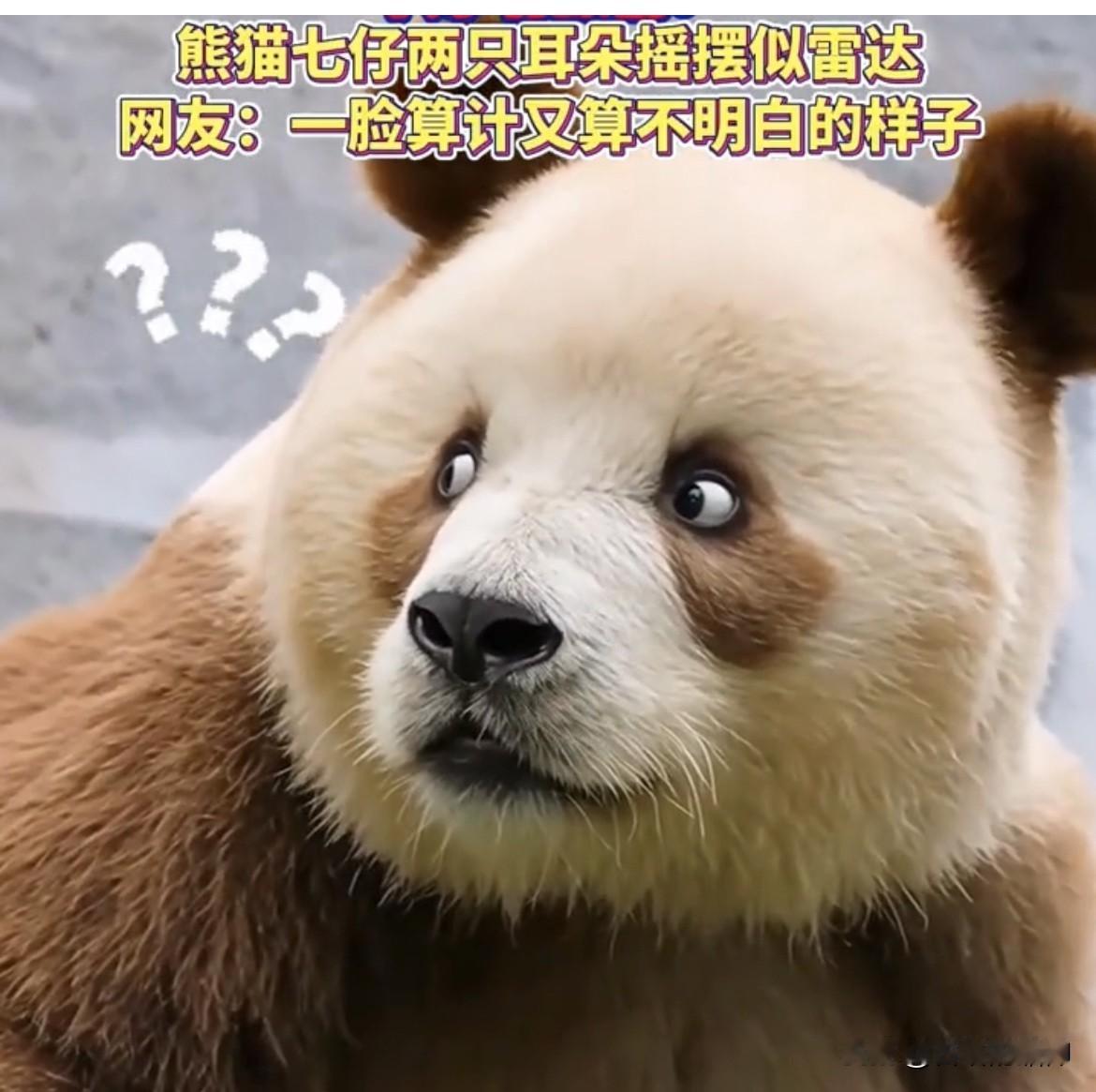 看到它，我便想起了堂兄。他为人一根筋，简直就是个傻子……他发小是湖南十大地产公司