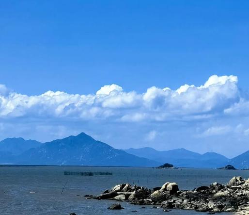 郑丽文这一趟去大陆，本来大家都以为就是“两岸交流例行公事”，走个流程拍拍照，行程