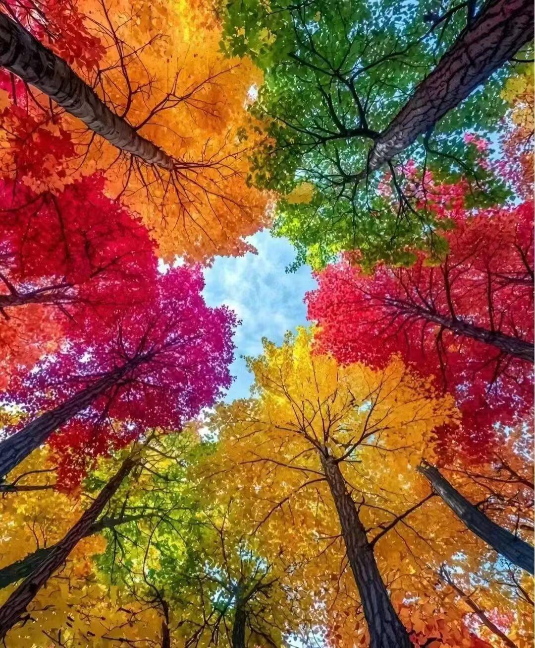 威兰达AIR权益价13.78万