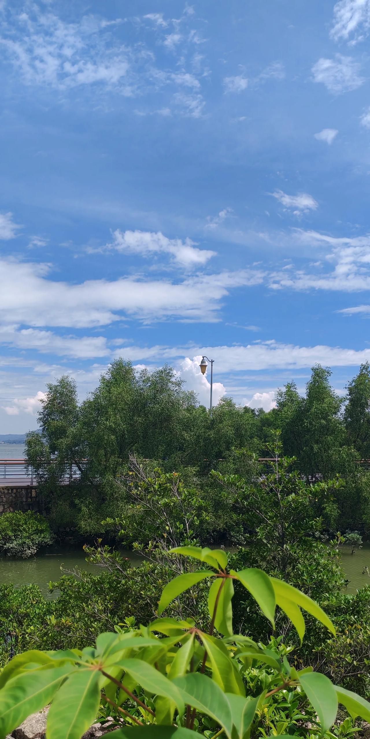 从8月28日后，声明首发也不一定有分成奖励了。即使有，激励奖也不是固定的了，是