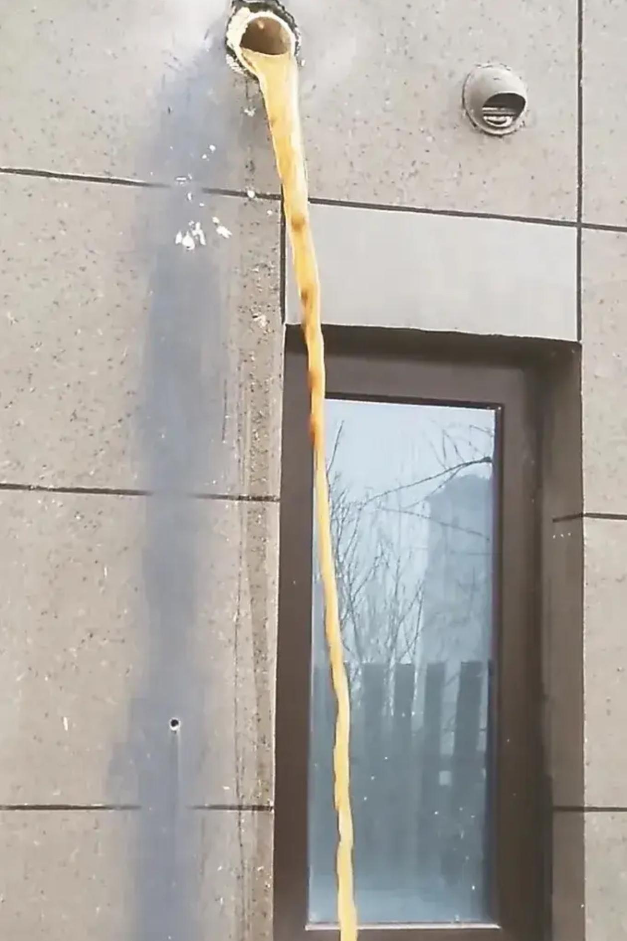 一次粪水直排，共进行了616次维权但都没有成功。当法定职责成为推诿理由时，基层履