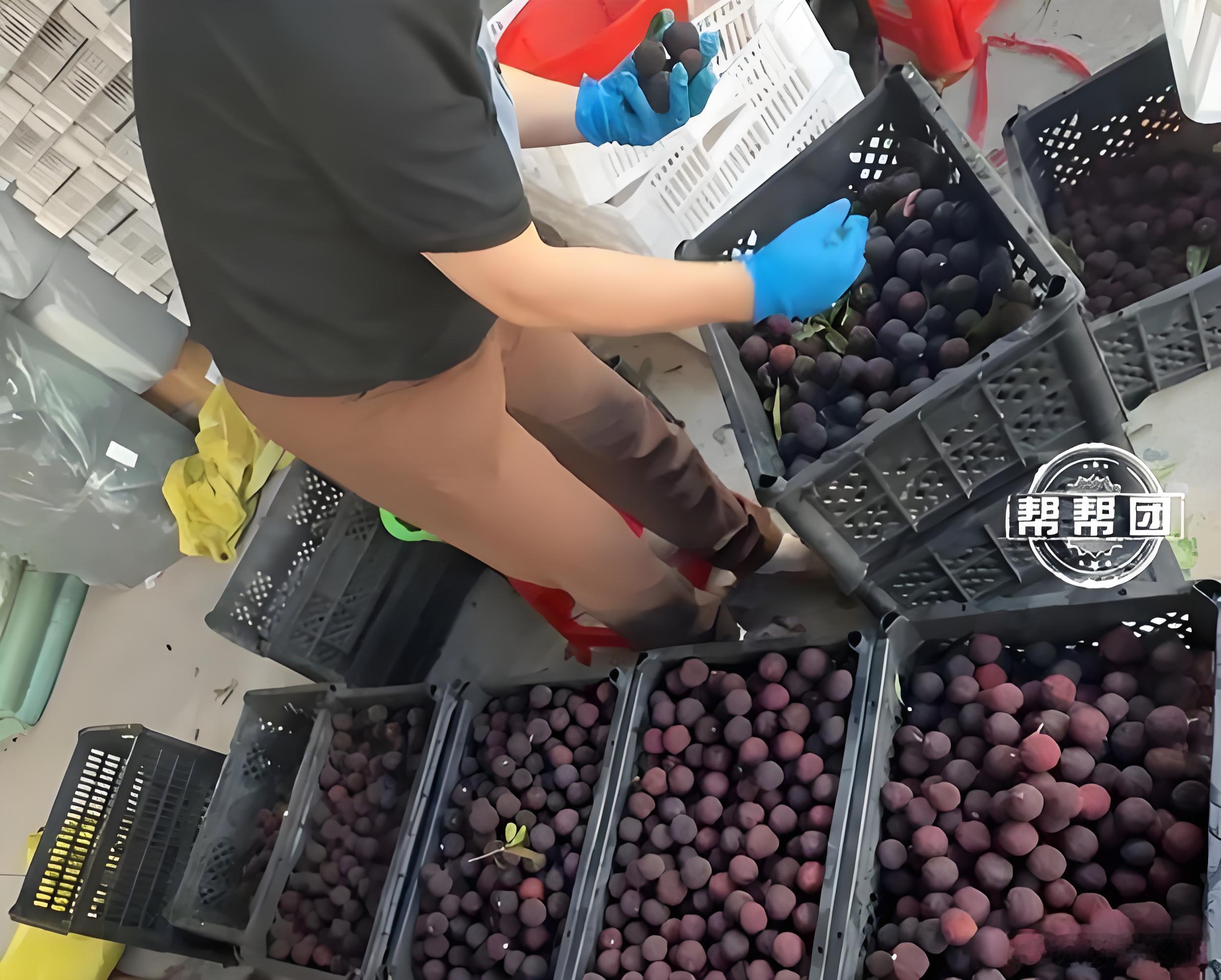 杨梅浸泡三无添加剂这事，我想说，其实果品行业有个天生悖论：如果要是自己吃，那果品