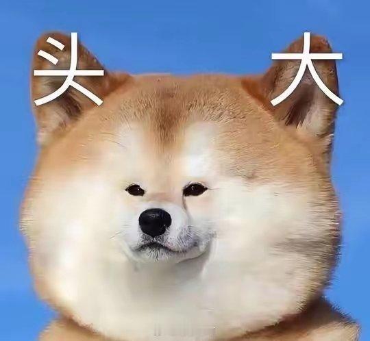 不管你信不信，未来5年中国经济彻底大升级！4个关乎普通人钱袋子的大势，看懂少走十