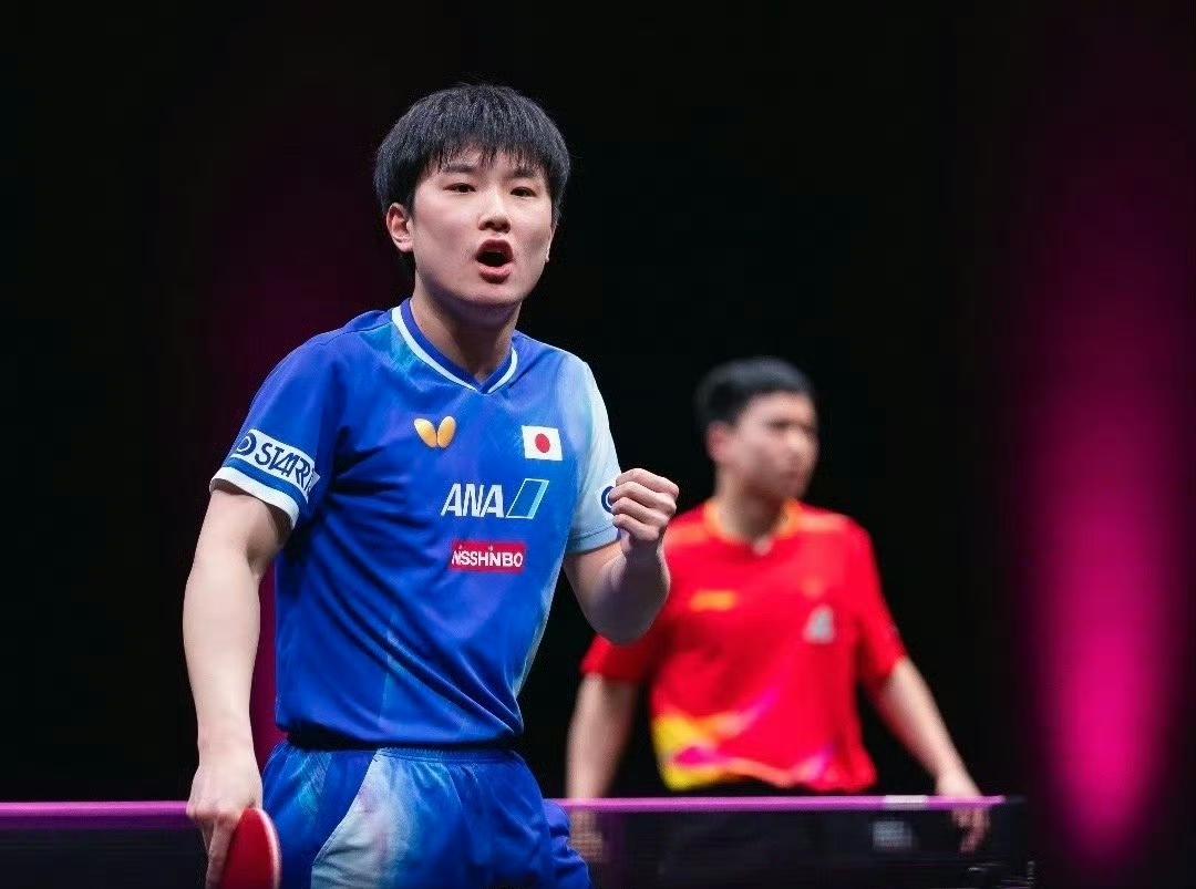 向鹏多哈一轮游，再次输给张本智和！同为03年为何差距如此大？2026年WTT