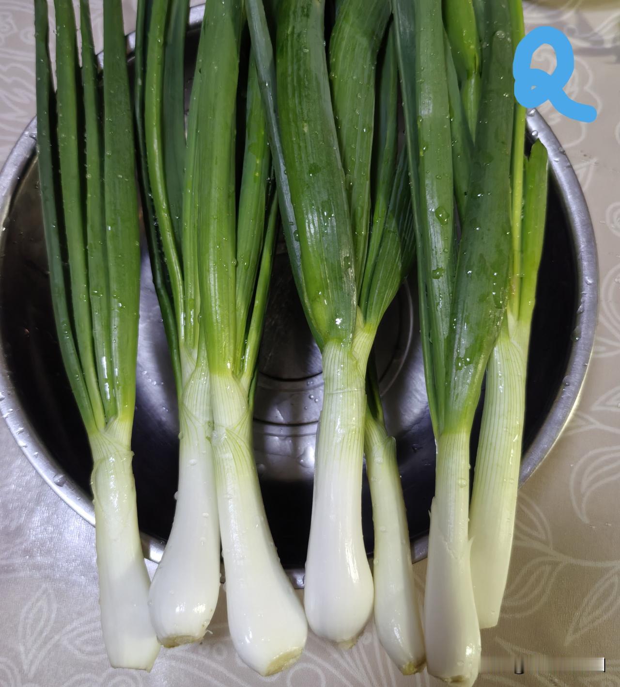 洋葱苗地冬铺蔗渣试验成功，对比实验铺过蔗渣地的洋葱苗明显脆甜图1图2，各是1