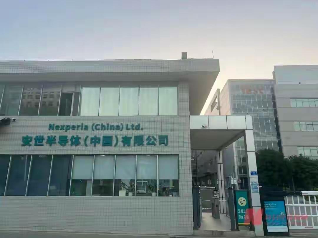 欧洲人：我觉得中国不会因为安世和我们闹大，因为中国人不想丢脸在我们中国人的外