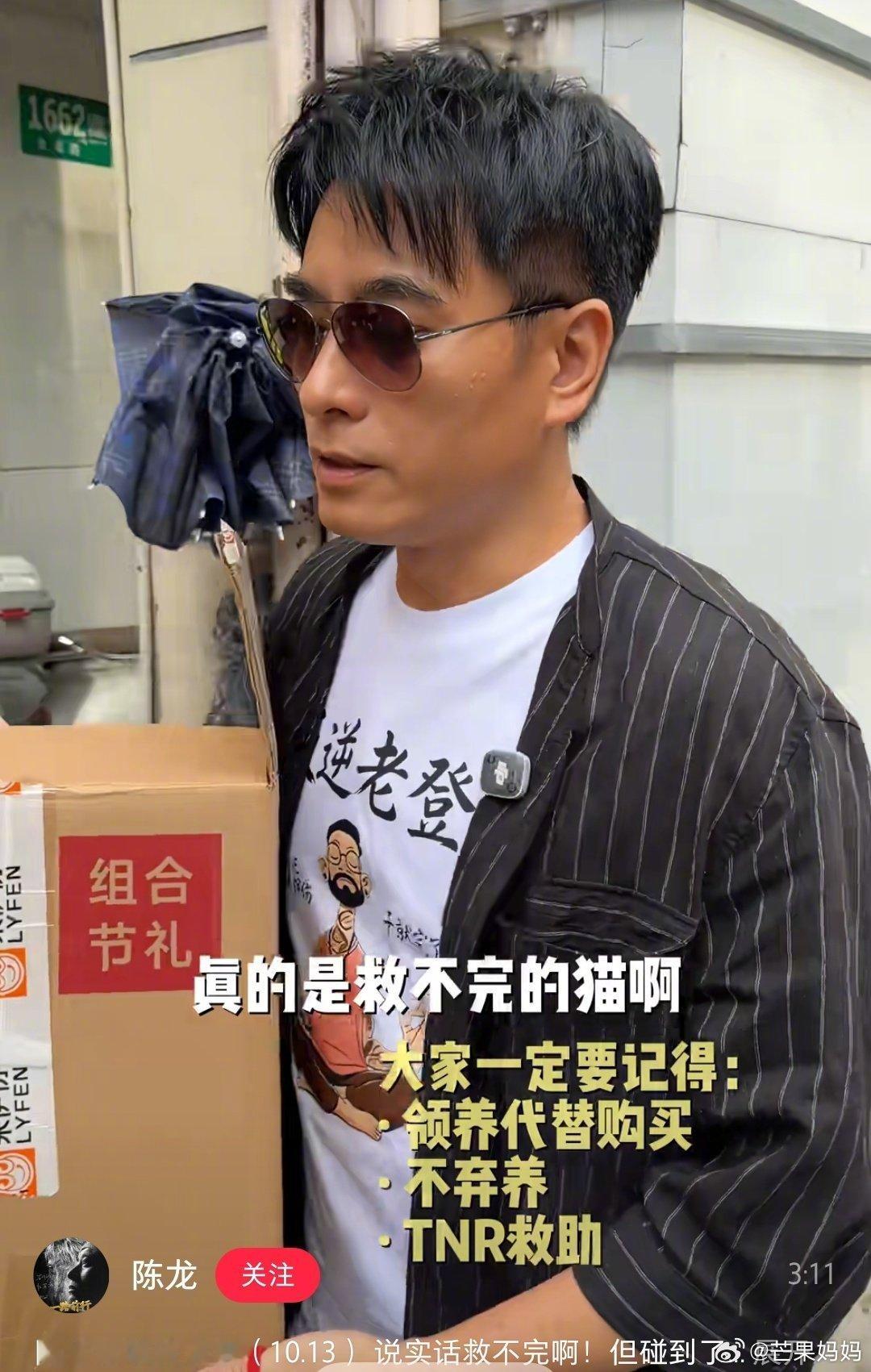 刷到陈龙的vlog，救助了一只受伤的流浪小猫咪，治好了以后起名叫‘来来’，当地人