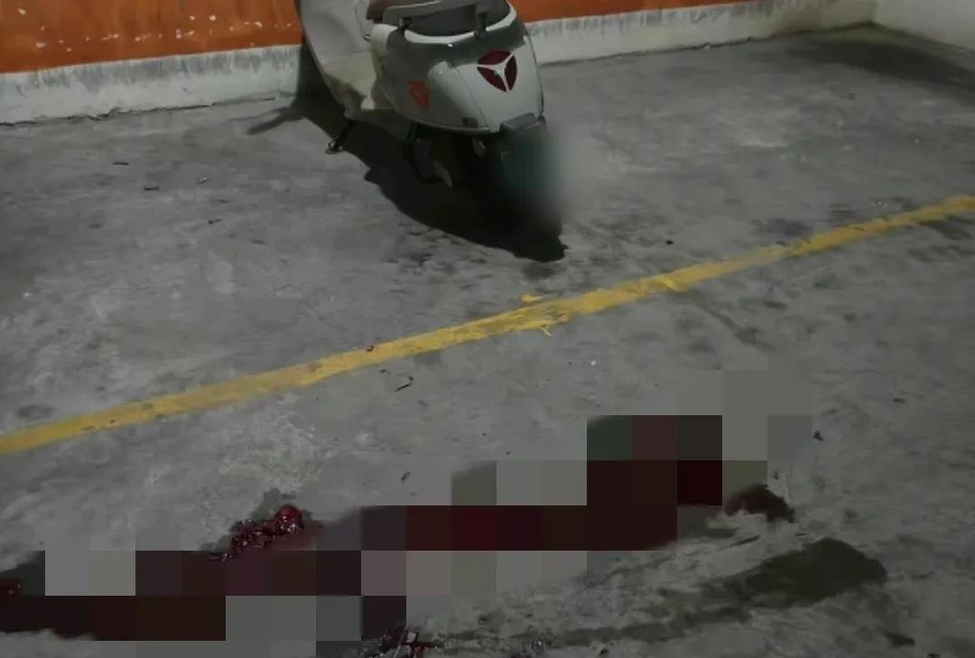 金毛敦敦的被打死的新闻刚过没多久，一网友家的小狗近日被物业报警至执法队打死。据网