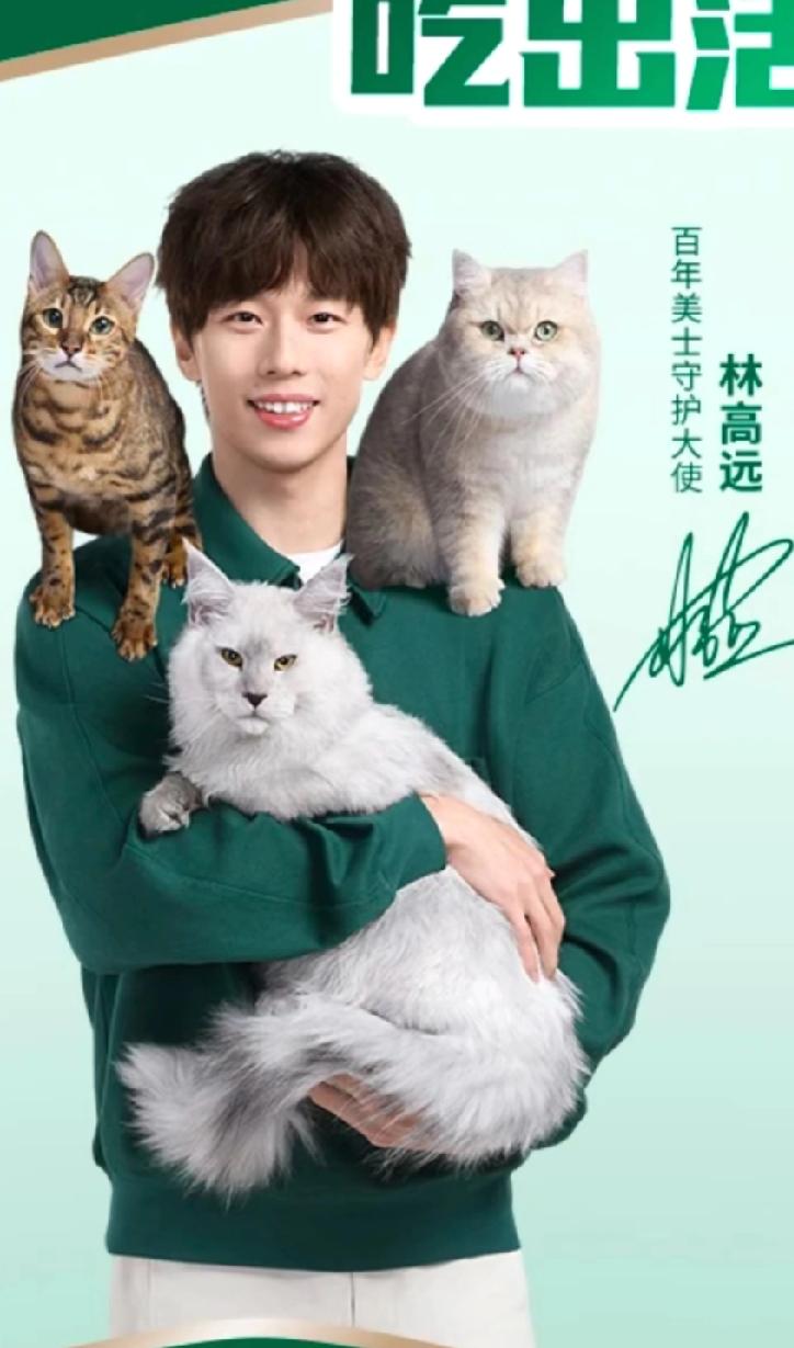 远子哥的吸猫体质绝了！🐈谁能拒绝林高远和三只猫咪的同框暴击啊！一身清爽绿
