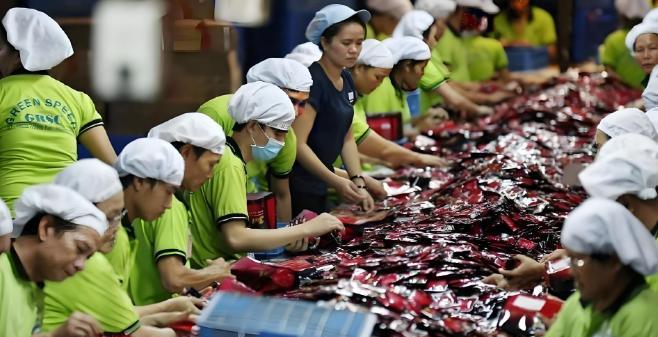 “外面的世界很精彩，但回到家就很无奈。”这是很多选择离开国内去越南打工的中国人心