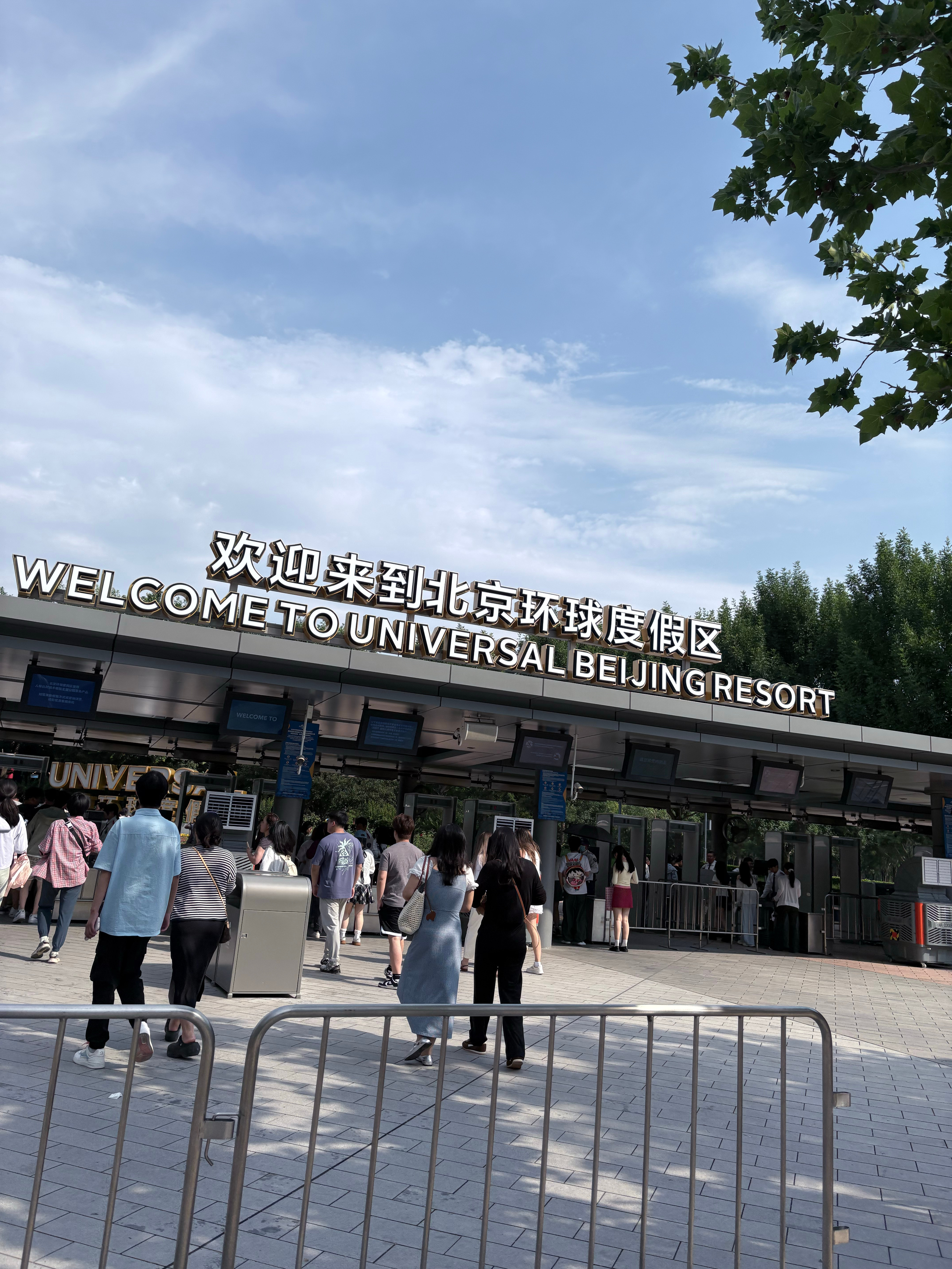 环环朕来了