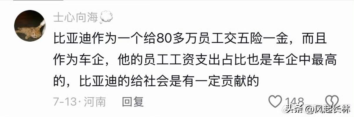 很多人都得感谢比亚迪，比亚迪养活上百万个普通家庭！