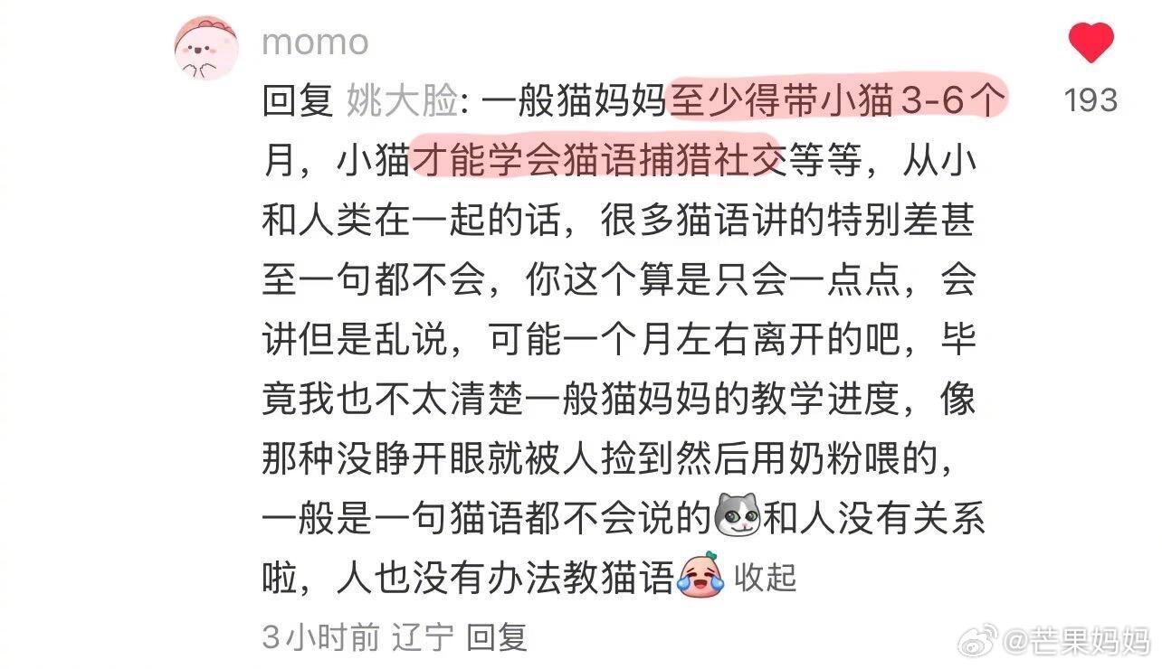 原来小猫没被猫妈妈带大会变成“文盲猫”！！​​​