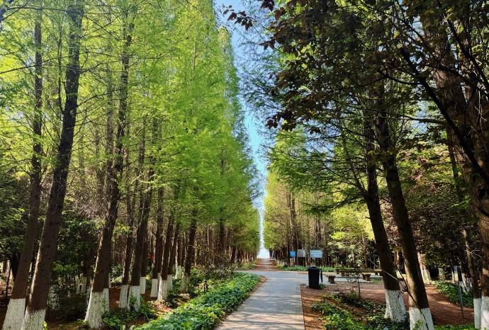 今天意外发现个超美秘境，住这么多年居然一直没注意！听说四季景色各有千秋，太让人期